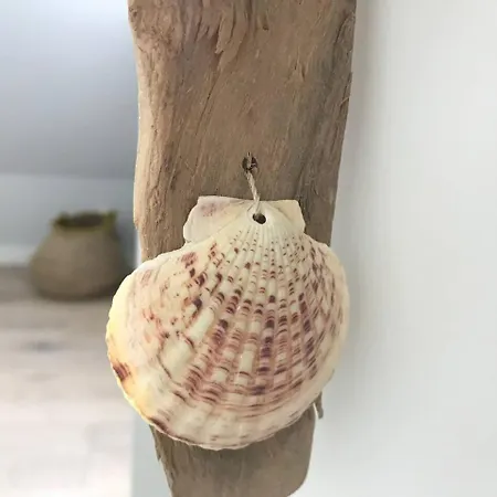 Am - Petersen 07 Wangerooge